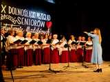 IX Dolnośląski Przegląd Seniorów Artystycznie Uzdolnionych