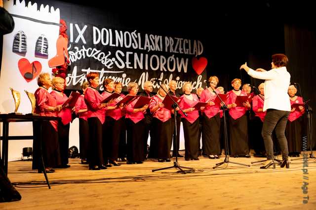 IX Dolnośląski Przegląd Seniorów Artystycznie Uzdolnionych