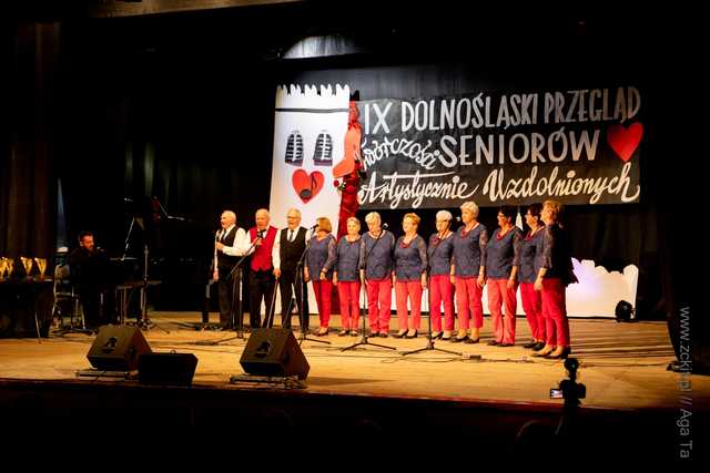 IX Dolnośląski Przegląd Seniorów Artystycznie Uzdolnionych