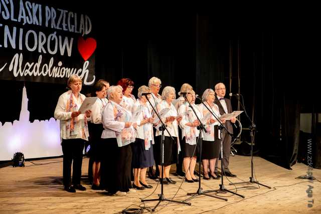 IX Dolnośląski Przegląd Seniorów Artystycznie Uzdolnionych