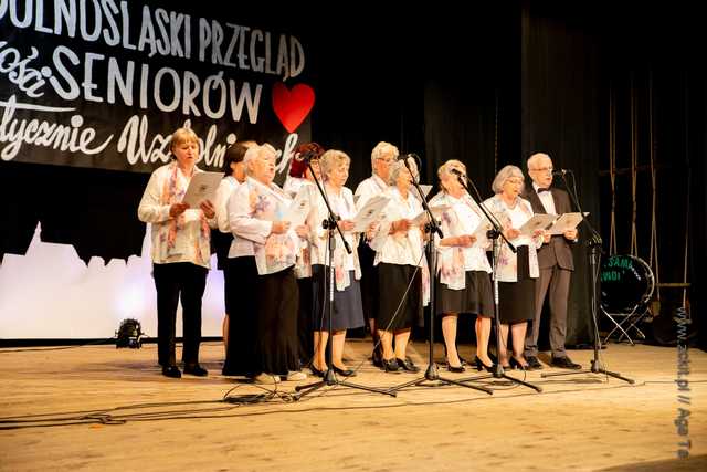 IX Dolnośląski Przegląd Seniorów Artystycznie Uzdolnionych