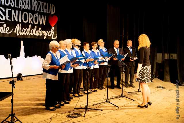 IX Dolnośląski Przegląd Seniorów Artystycznie Uzdolnionych