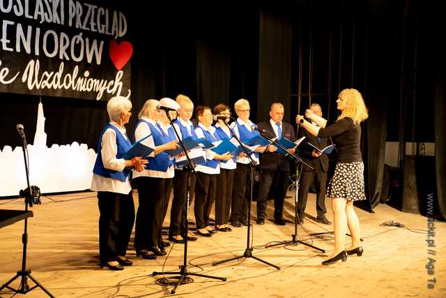 IX Dolnośląski Przegląd Seniorów Artystycznie Uzdolnionych