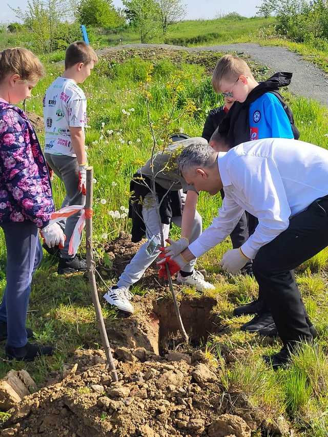 Posadzili 27 dębów na górce wojskowej 