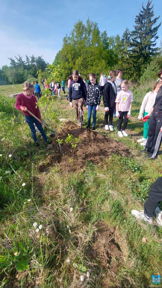Posadzili 27 dębów na górce wojskowej 