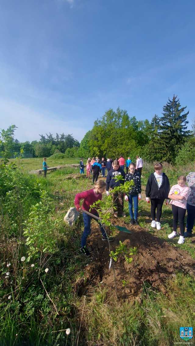 Posadzili 27 dębów na górce wojskowej 