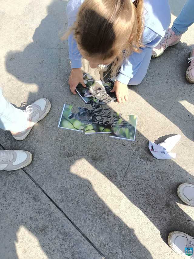 Posadzili 27 dębów na górce wojskowej 