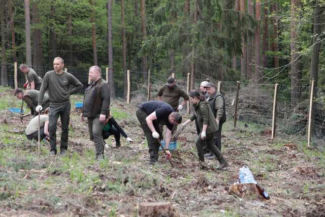 Zasadzili Las Pamięci Jana Pawła II w Nadleśnictwie Bardo
