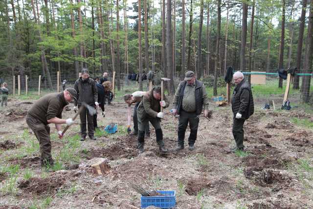 Zasadzili Las Pamięci Jana Pawła II w Nadleśnictwie Bardo
