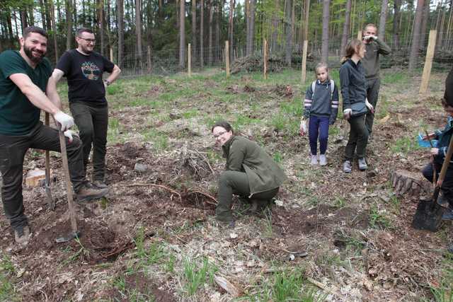 Zasadzili Las Pamięci Jana Pawła II w Nadleśnictwie Bardo
