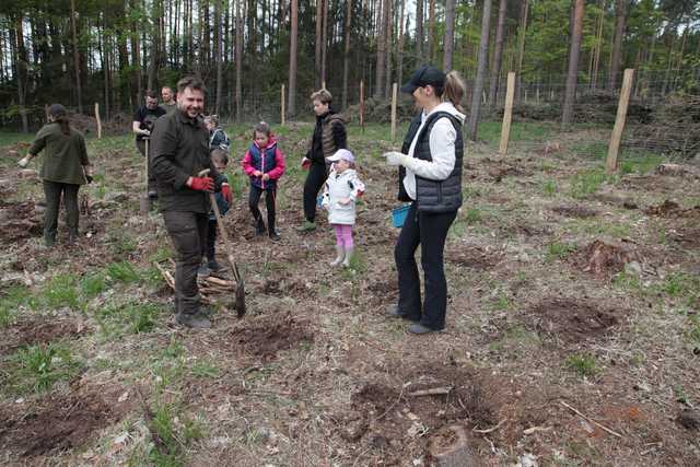 Zasadzili Las Pamięci Jana Pawła II w Nadleśnictwie Bardo