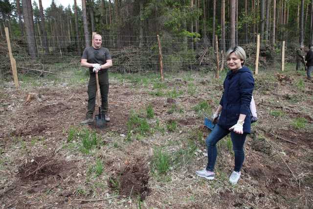 Zasadzili Las Pamięci Jana Pawła II w Nadleśnictwie Bardo