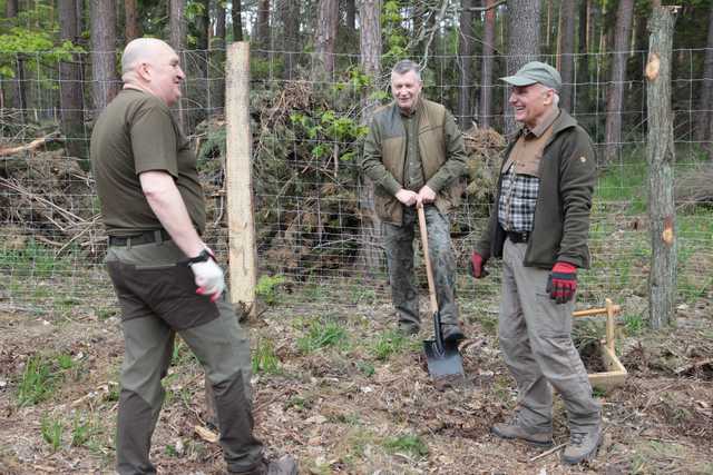 Zasadzili Las Pamięci Jana Pawła II w Nadleśnictwie Bardo