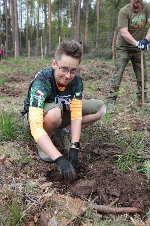 Zasadzili Las Pamięci Jana Pawła II w Nadleśnictwie Bardo