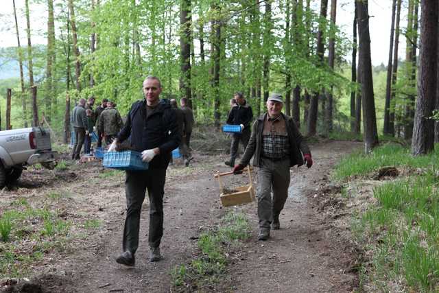 Zasadzili Las Pamięci Jana Pawła II w Nadleśnictwie Bardo