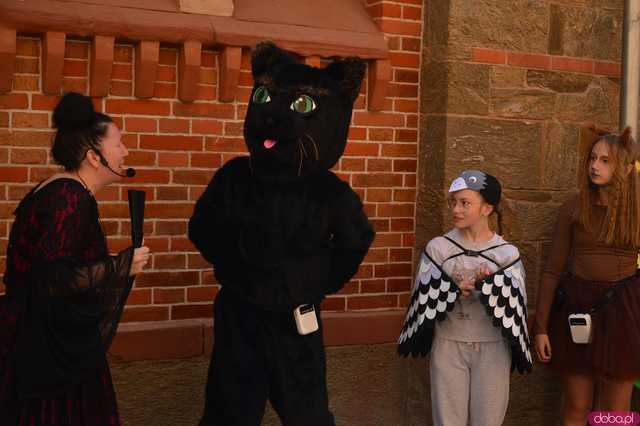 Tymek i Czarny Kot - magiczny teatr uliczny w wykonaniu kamienieckich uczniów