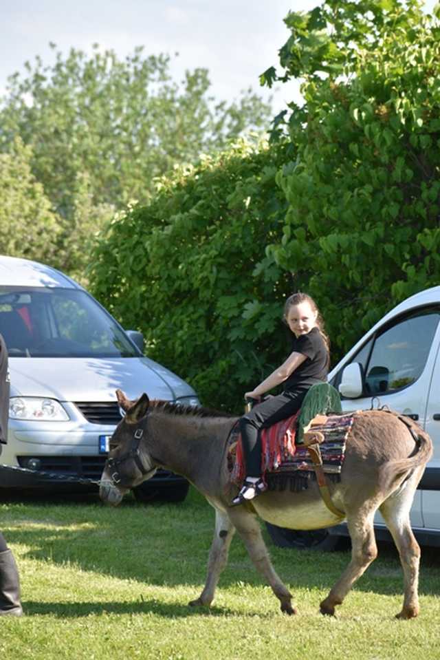 II Parafialny Piknik z okazji Dnia Dziecka w Brzeźnicy