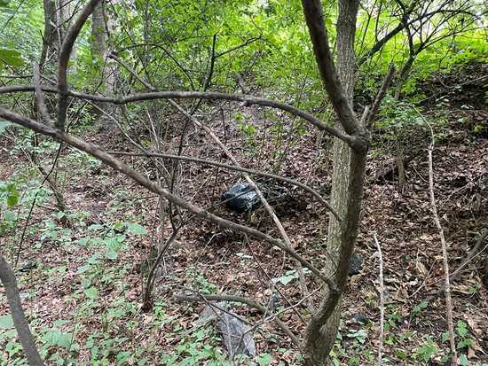 56-latek podejrzany o kradzież elektronarzędzi. Łup zakopany w lesie