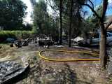 Pożar na posesji w Wadochowicach