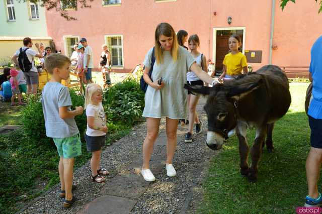 Raj dla dzieci pod Krzywą Wieżą