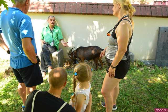 Raj dla dzieci pod Krzywą Wieżą