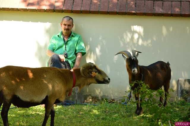 Raj dla dzieci pod Krzywą Wieżą