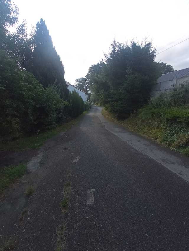 Będzie remont drogi w Piotrowicach Polskich. Inwestycja będzie możliwa dzięki rządowemu dofinansowaniu [FOTO]