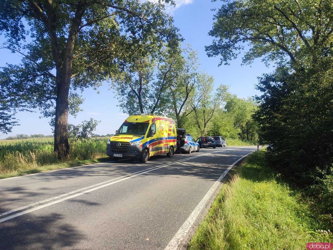 Wypadek z udziałem dwóch osobówek i rowerzysty między Kamieńcem a Strąkową