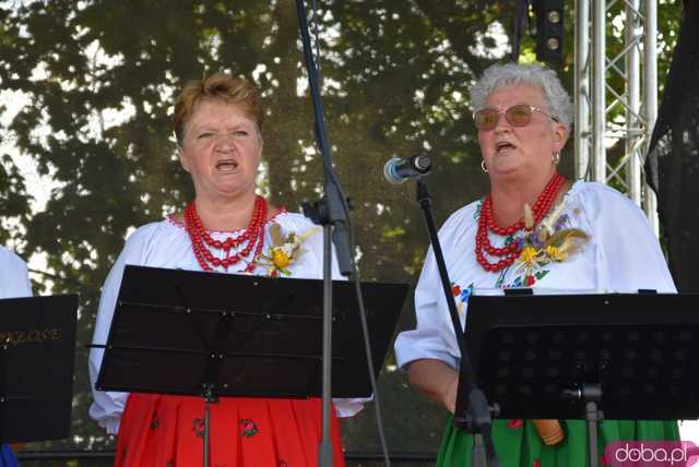 [FOTO] Podziękowali za plony podczas Dożynek Gminnych w Niedźwiedziu