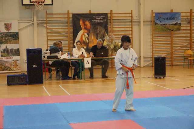 Kyokushin 