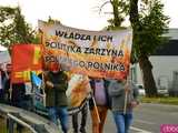 Rolnicy protestują na dk8 w Ząbkowicach Śląskich