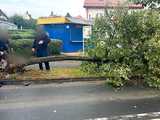Pijana 41-latka spowodowała kolizję i wjechała w drzewo