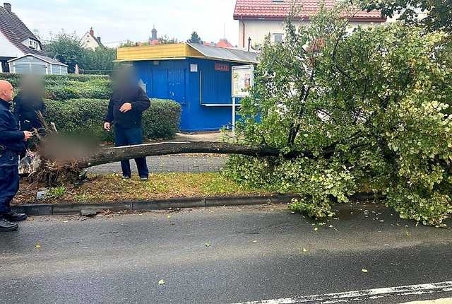 Pijana 41-latka spowodowała kolizję i wjechała w drzewo