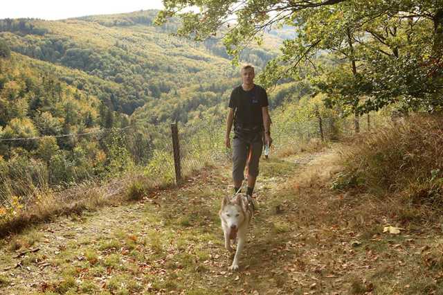 Finał Pucharu Polski w Dogtrekkingu 2023 w Złotym Stoku