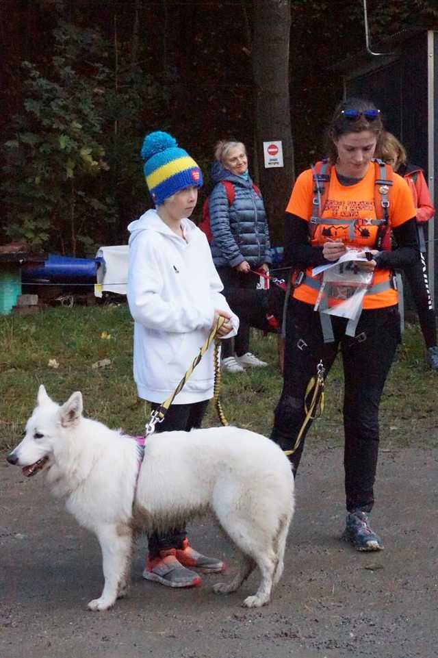 Finał Pucharu Polski w Dogtrekkingu 2023 w Złotym Stoku