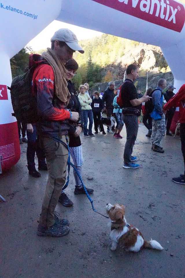 Finał Pucharu Polski w Dogtrekkingu 2023 w Złotym Stoku