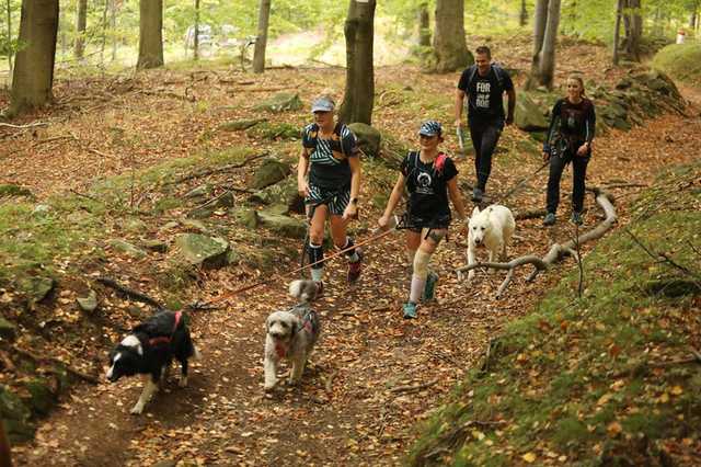 Finał Pucharu Polski w Dogtrekkingu 2023 w Złotym Stoku