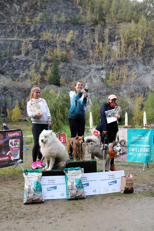 Finał Pucharu Polski w Dogtrekkingu 2023 w Złotym Stoku