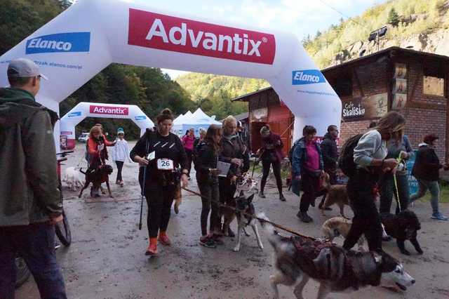 Finał Pucharu Polski w Dogtrekkingu 2023 w Złotym Stoku