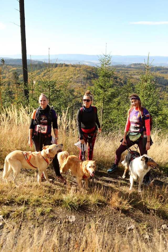 Finał Pucharu Polski w Dogtrekkingu 2023 w Złotym Stoku