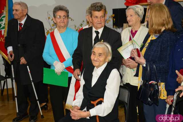 akademia Ziębice