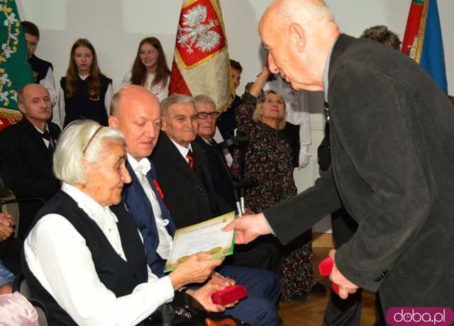 akademia Ziębice