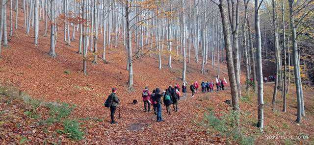 Mazurek Dąbrowskiego na Kłodzkiej Górze