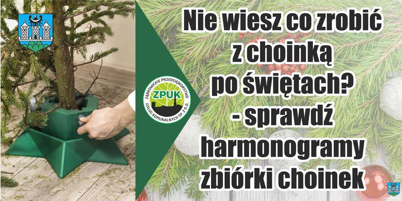 Poświąteczna zbiórka żywych choinek w gminie Ząbkowice Śląskie 