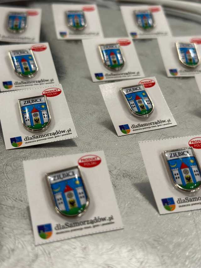 Ślubowanie radnych i burmistrza, czyli początek kadencji 2024-2029 w Ziębicach