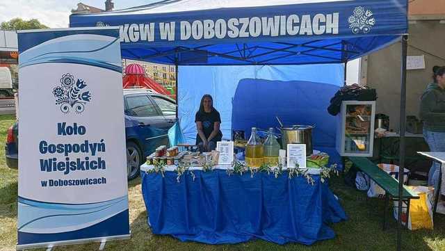 [FOTO] Święto Tulipanów w Kamieńcu Ząbkowickim po raz kolejny