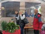 galeria
