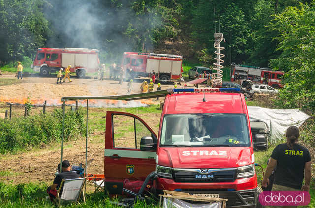 Strażacy z Europy, Meksyku czy Australii szkolili się w gminie Bardo z gaszenia pożaru lasu w górzystym terenie 
