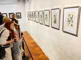 Otwarcie wystawy Picasso w Galerii Sztuki przy Cerkwi 