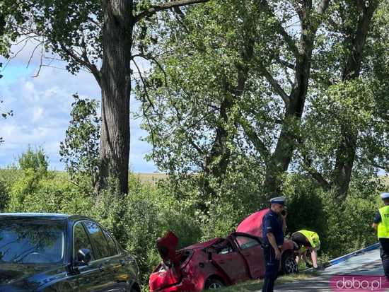 [FOTO] Stracił panowanie nad pojazdem, wpadł do rowu i uderzył w drzewo